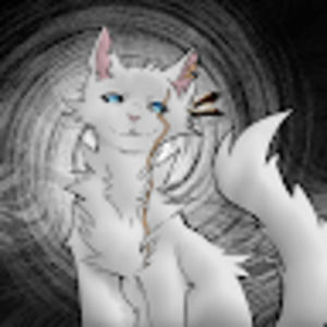 Meet your Posher, Riby